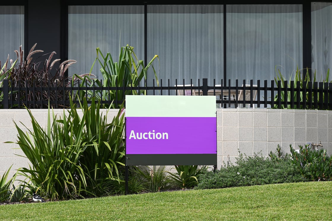 Auction Activity